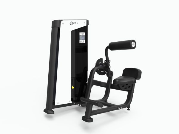 HyGYM Commercial Back Extension Machine UK - Yes