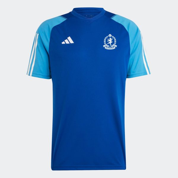 ADIDAS COVE RANGERS WARM UP JERSEY - TEAM ROYAL BLUE/PULSE / SMALL